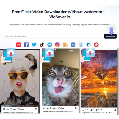 Flickr video downloader