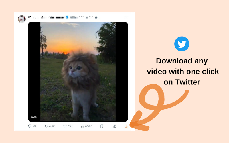 Download Twitter videos